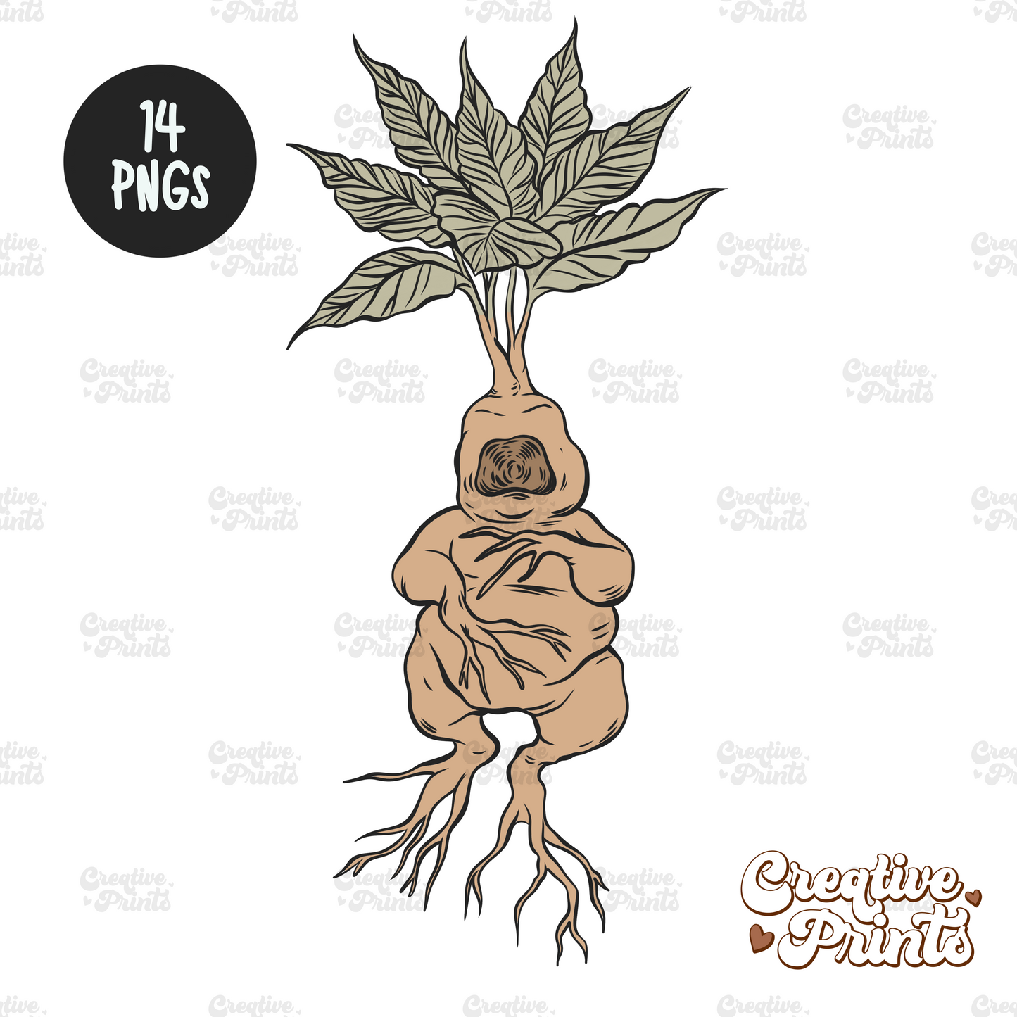 School of Magic Individual PNGs ( 14 files )