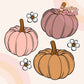 Cute floral pumpkins sublimation PNG