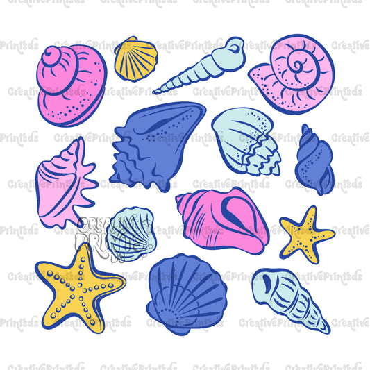 Seashells PNG